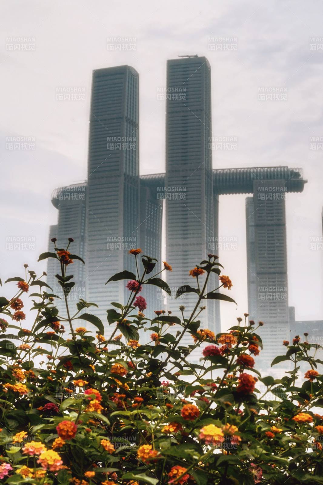 城市花開