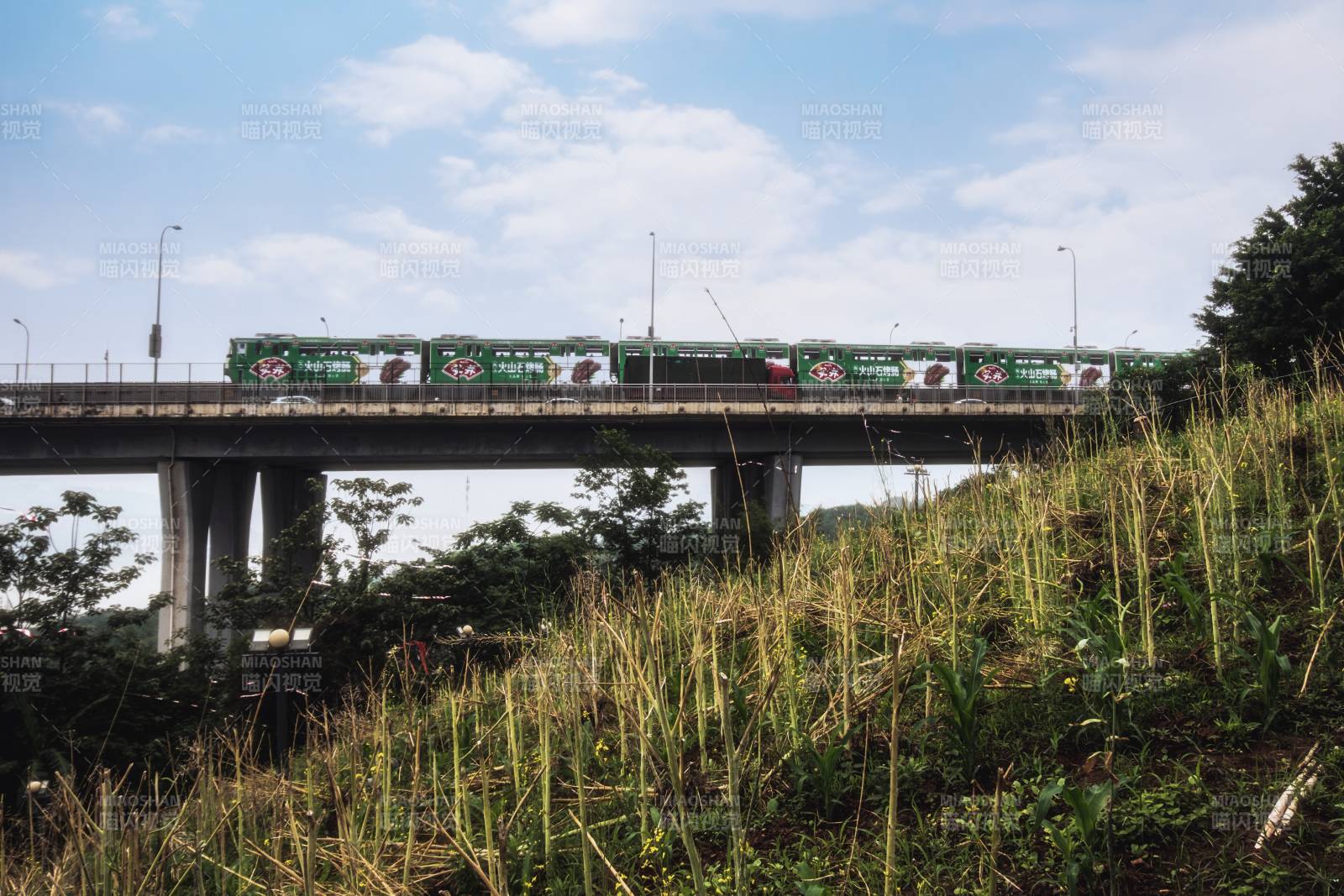 高架橋上的列車