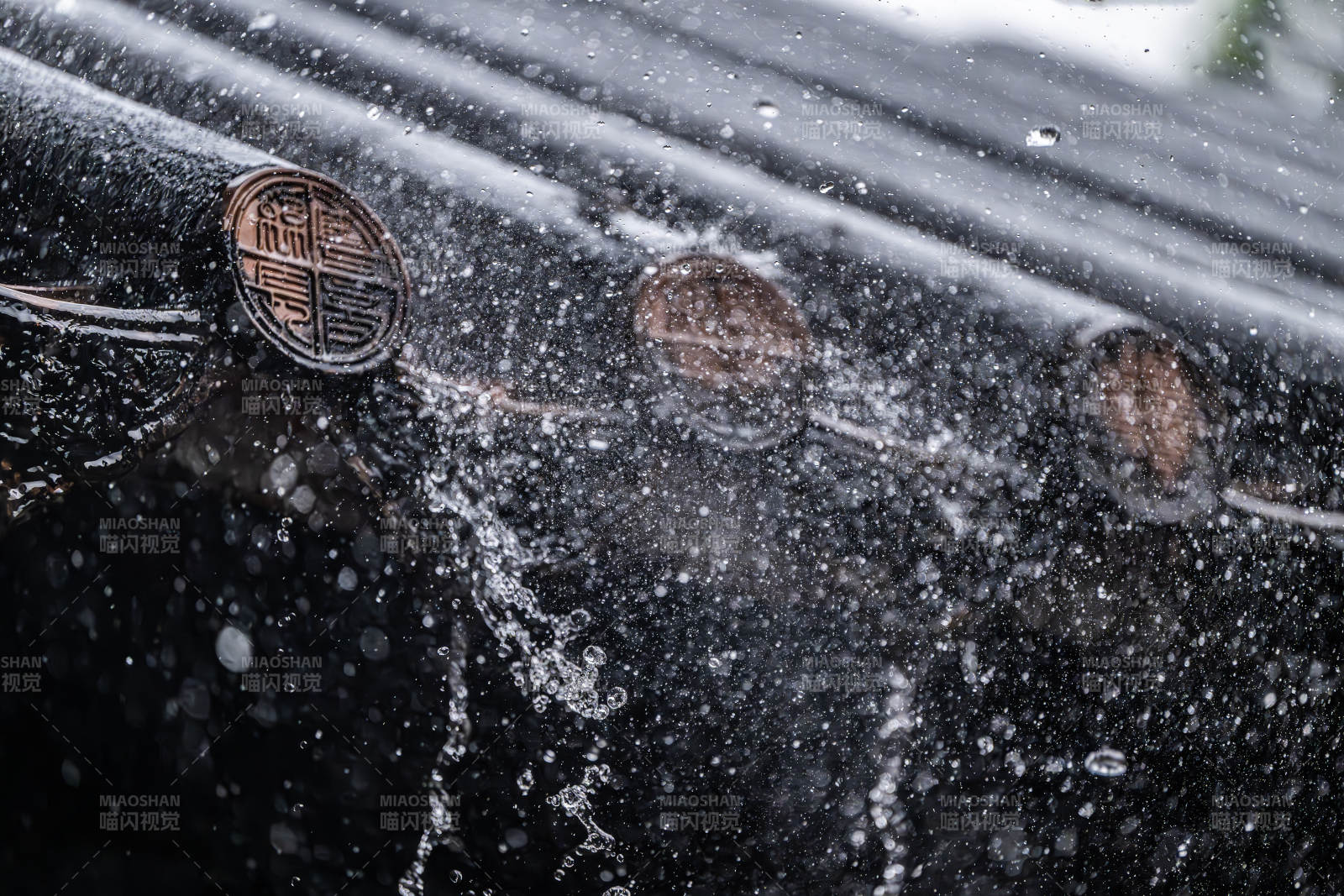 雨中車標特寫