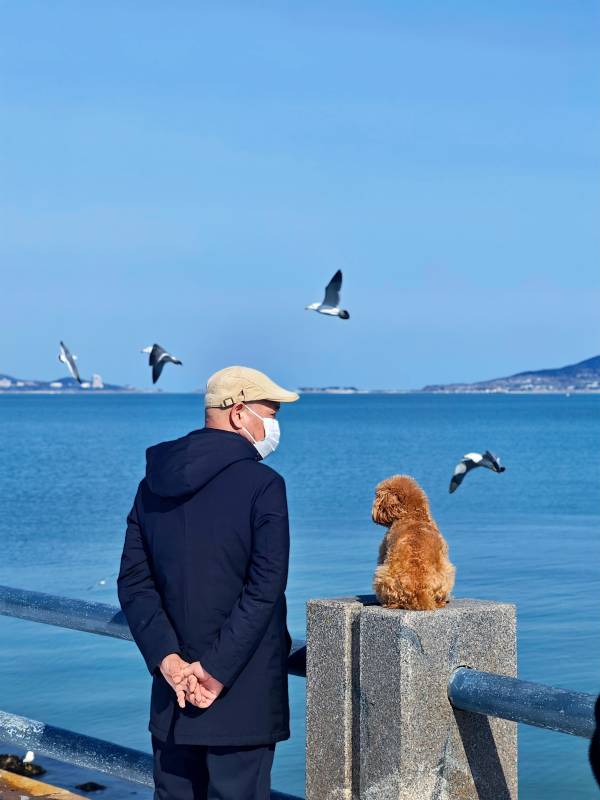 海边的陪伴