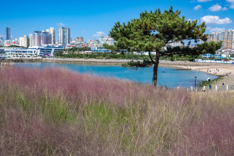 城市湖畔的宁静景色