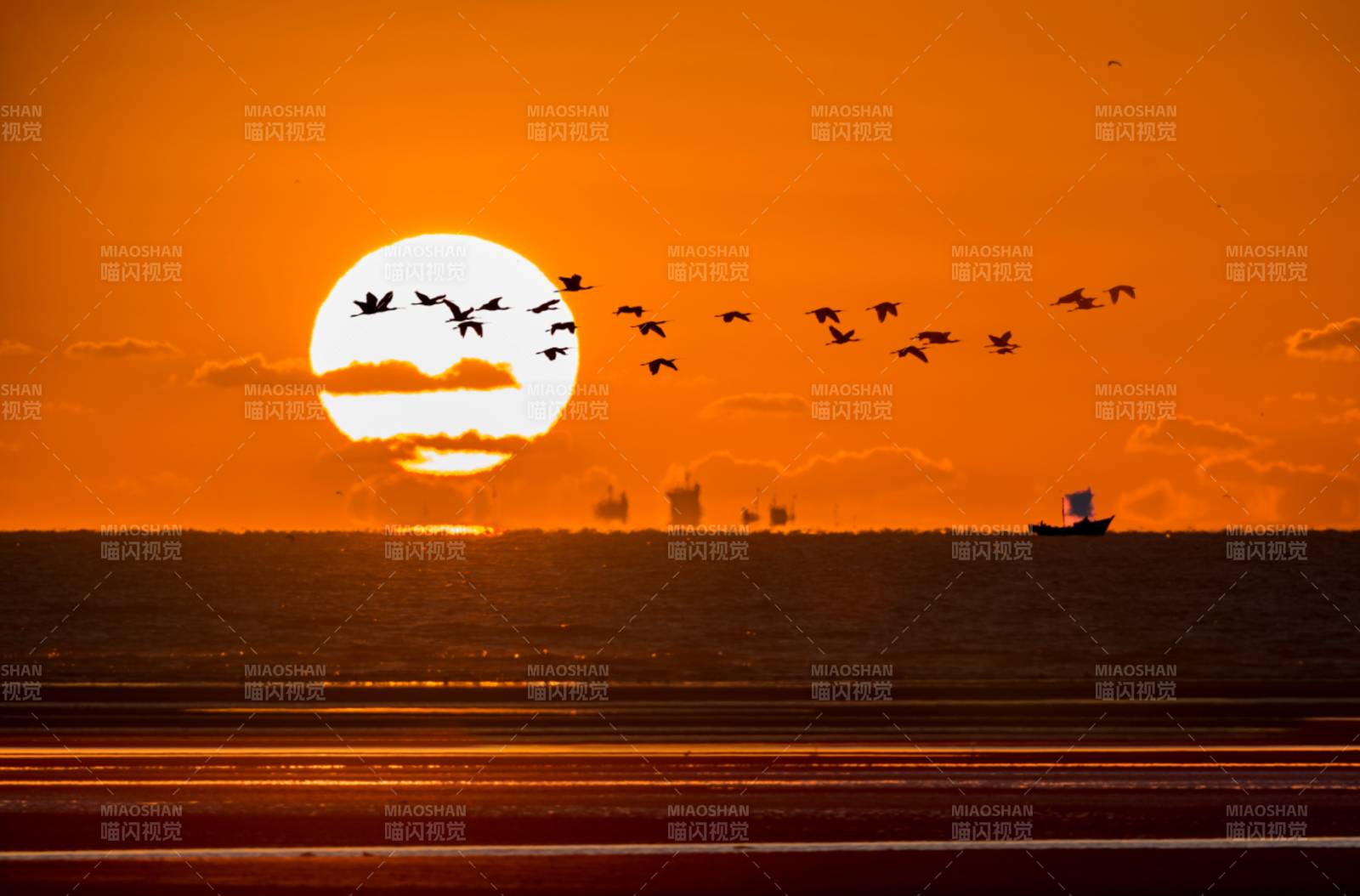 夕阳飞鸟海面船