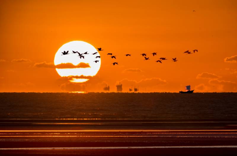 夕阳飞鸟海面船