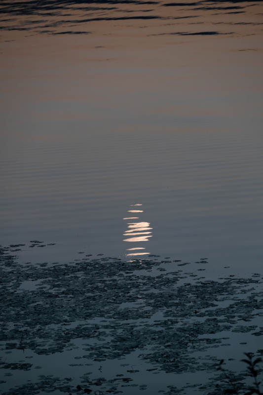湖面夕阳倒影