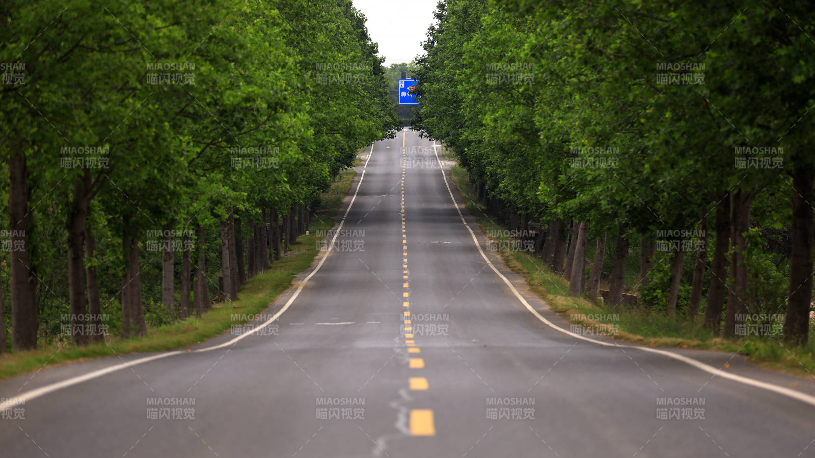 林蔭大道