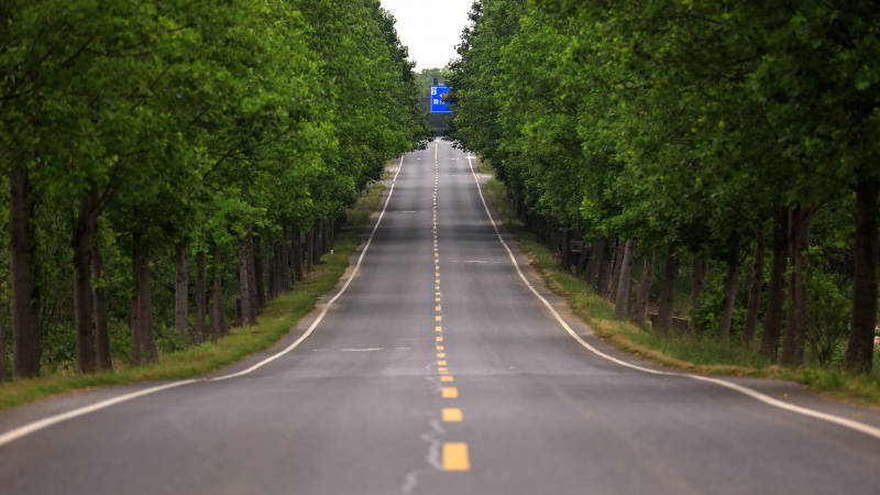 林蔭大道