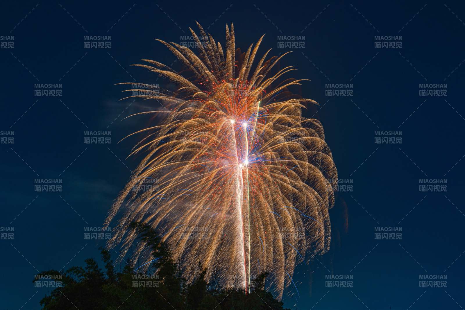 夜空中的煙花綻放