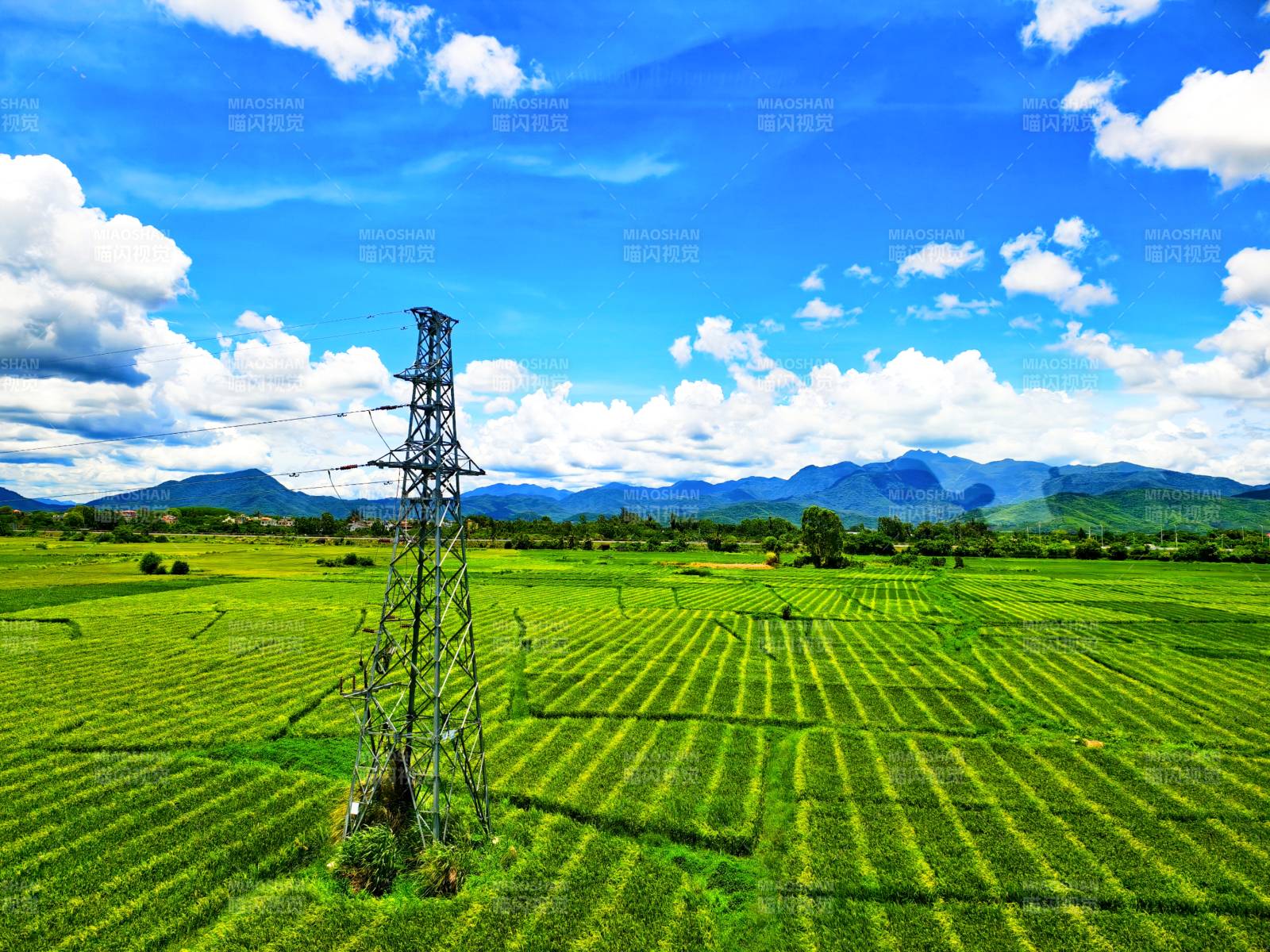 田野上的電力塔