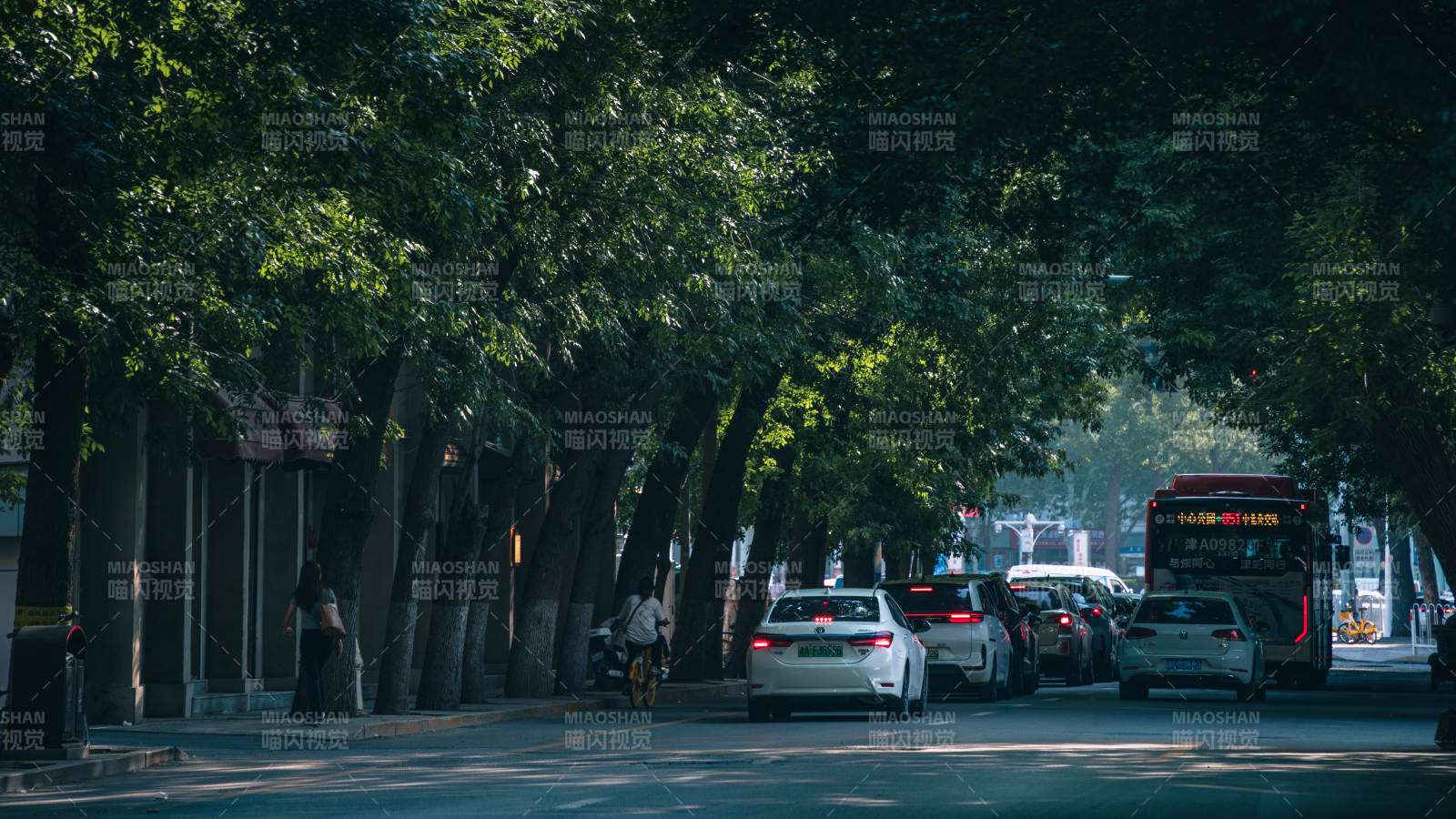 城市綠蔭下的繁忙街道