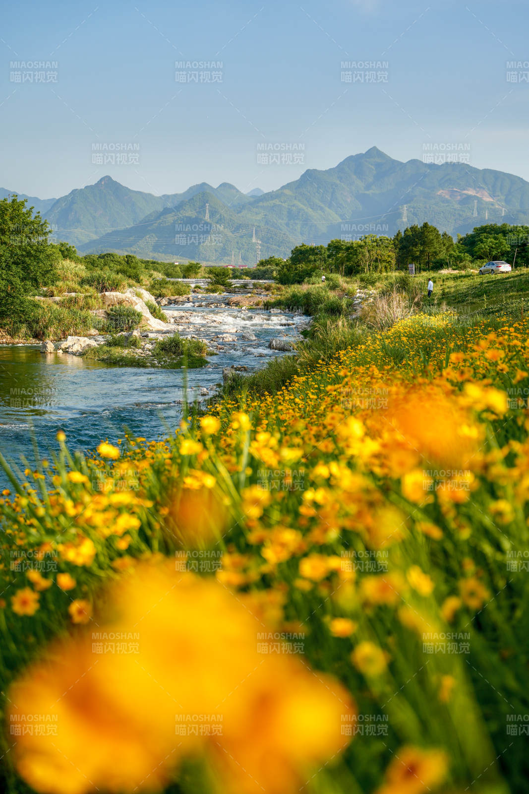 山溪花海