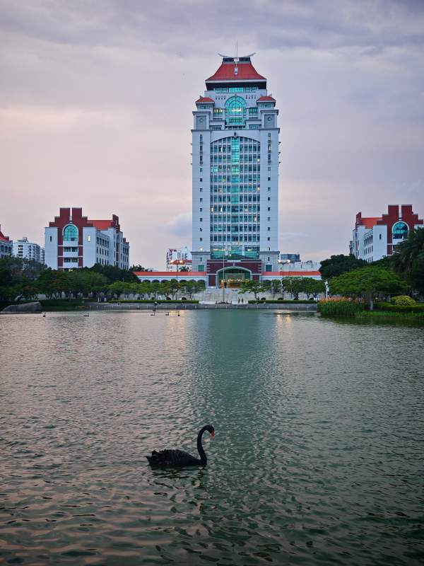 湖畔黑天鵝與廈門大學高樓