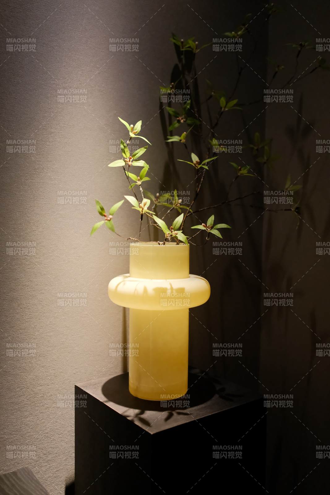 光影中的花瓶