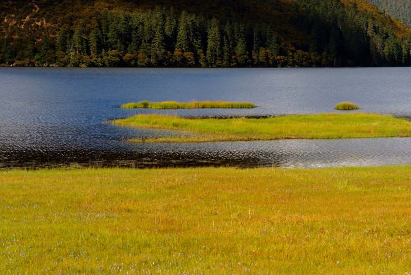 湖光山色 草島映襯