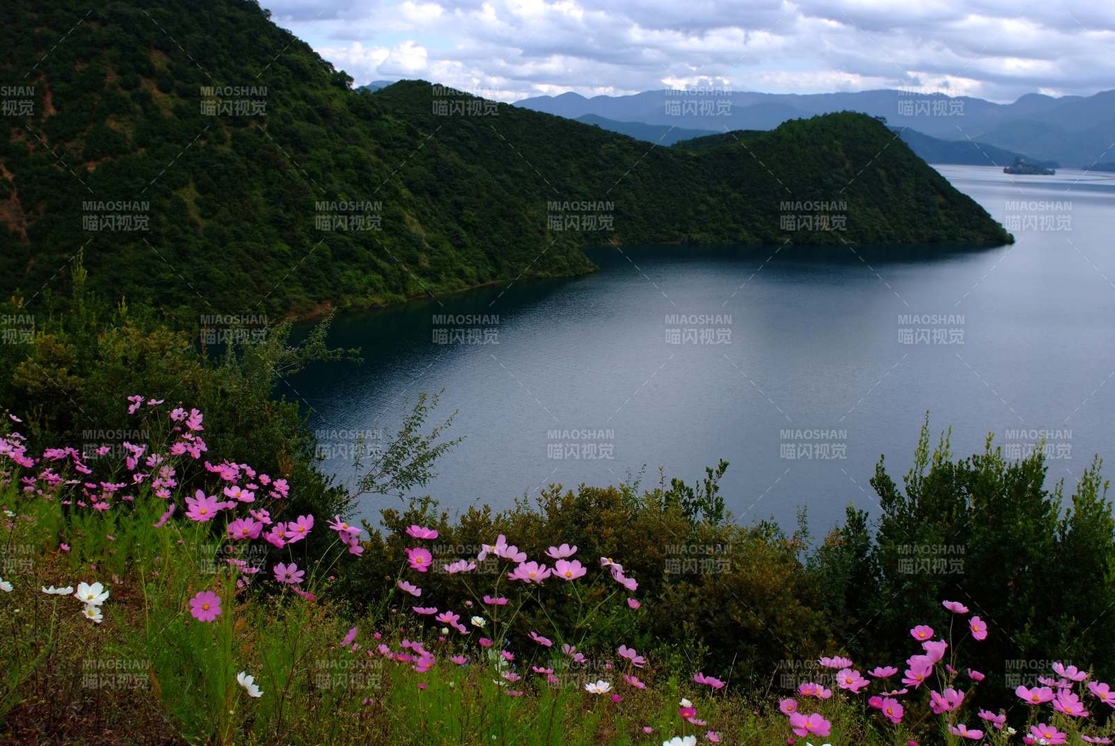 湖畔花海