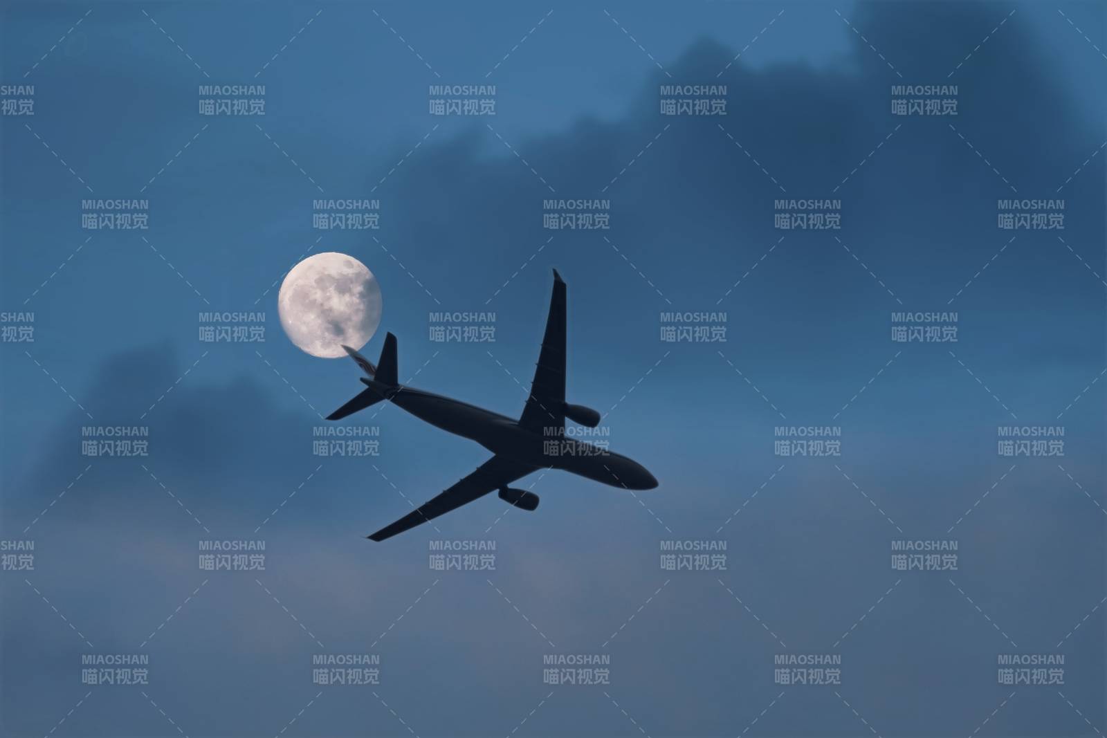 月夜飛行