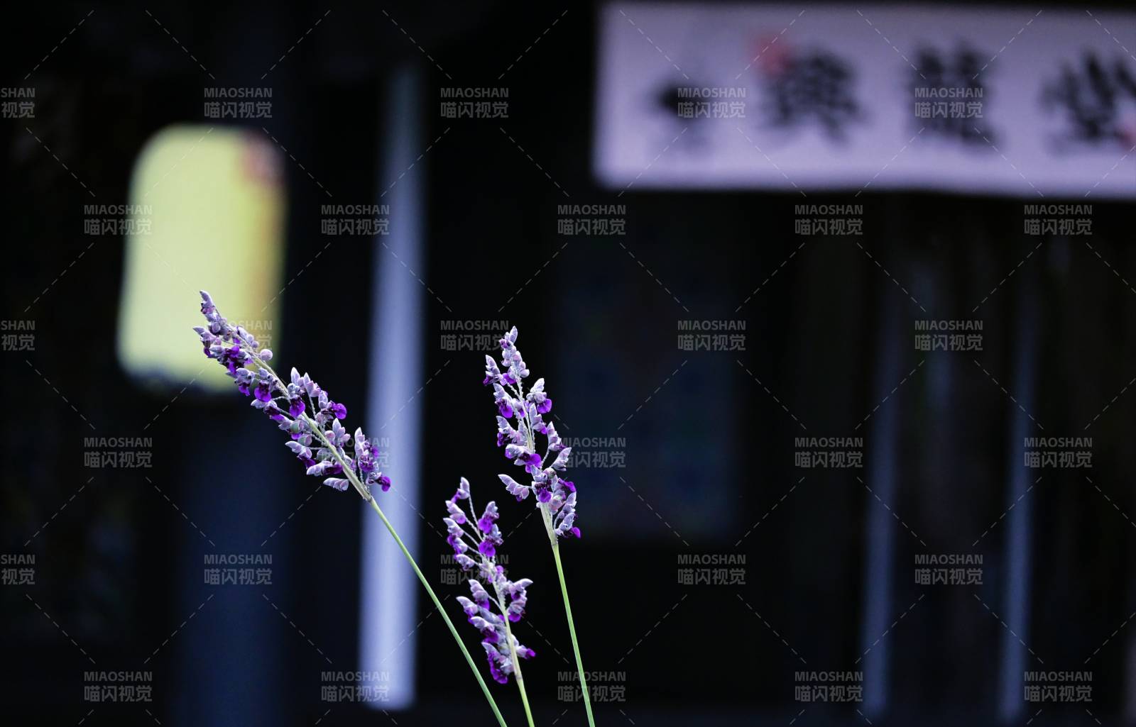 夜色中的紫色花枝