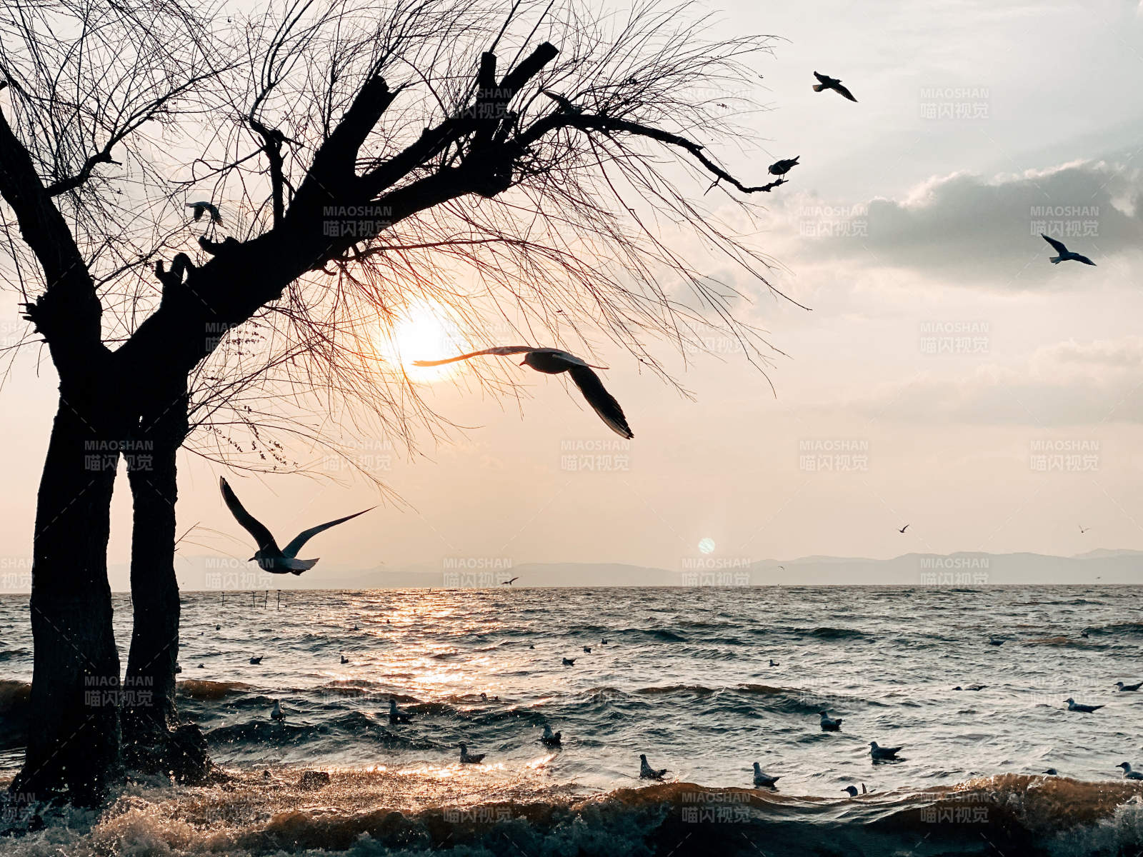 湖畔夕陽(yáng) 飛鳥(niǎo)歸巢