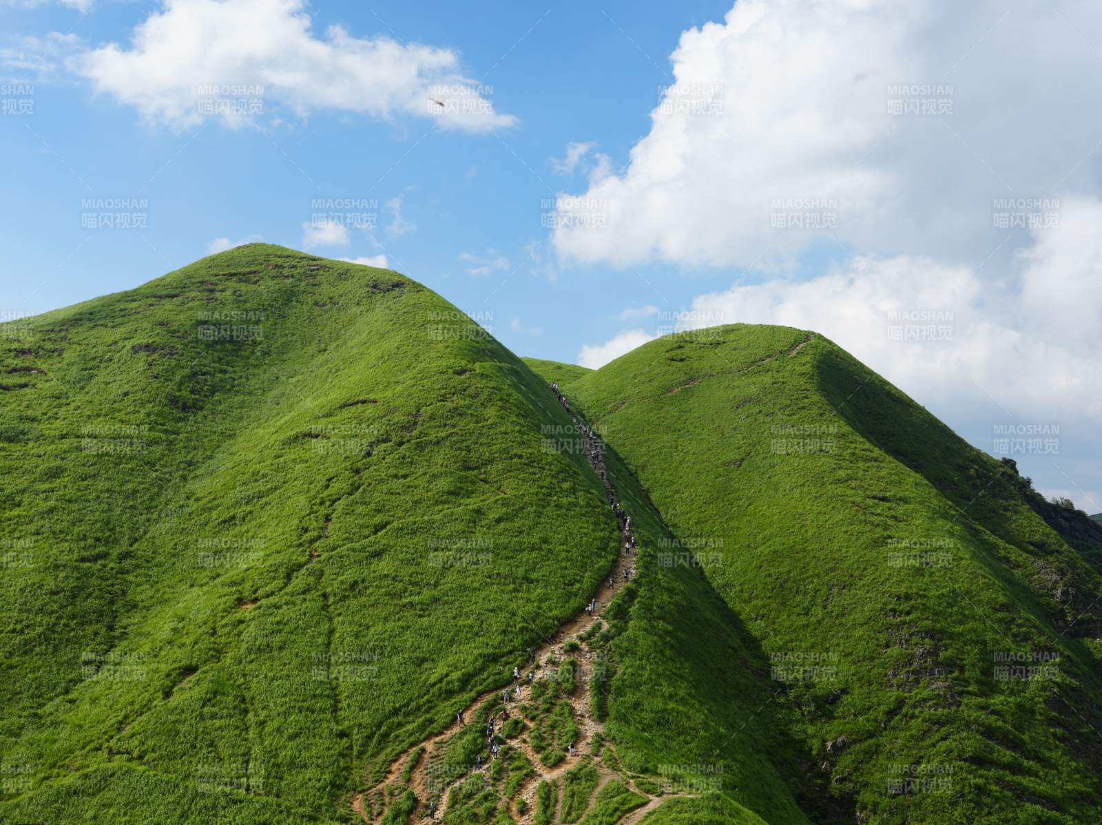 綠意盎然的山脊小徑