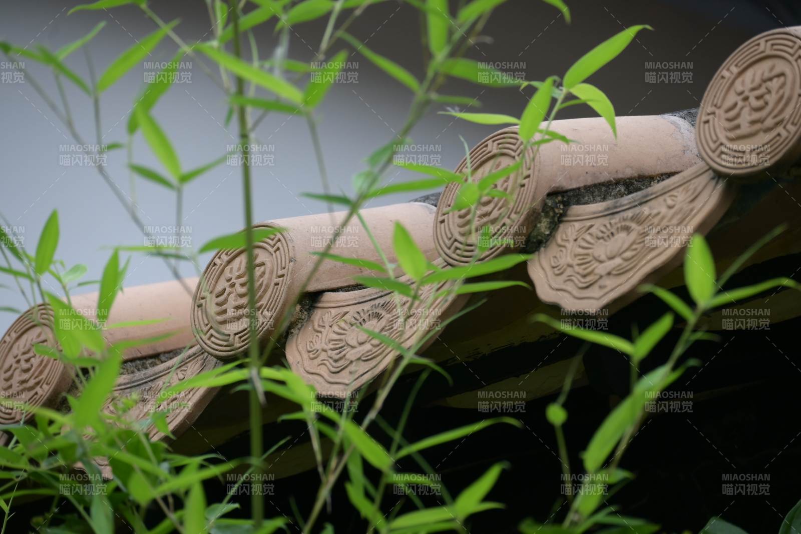 竹影下的古瓦細節(jié)