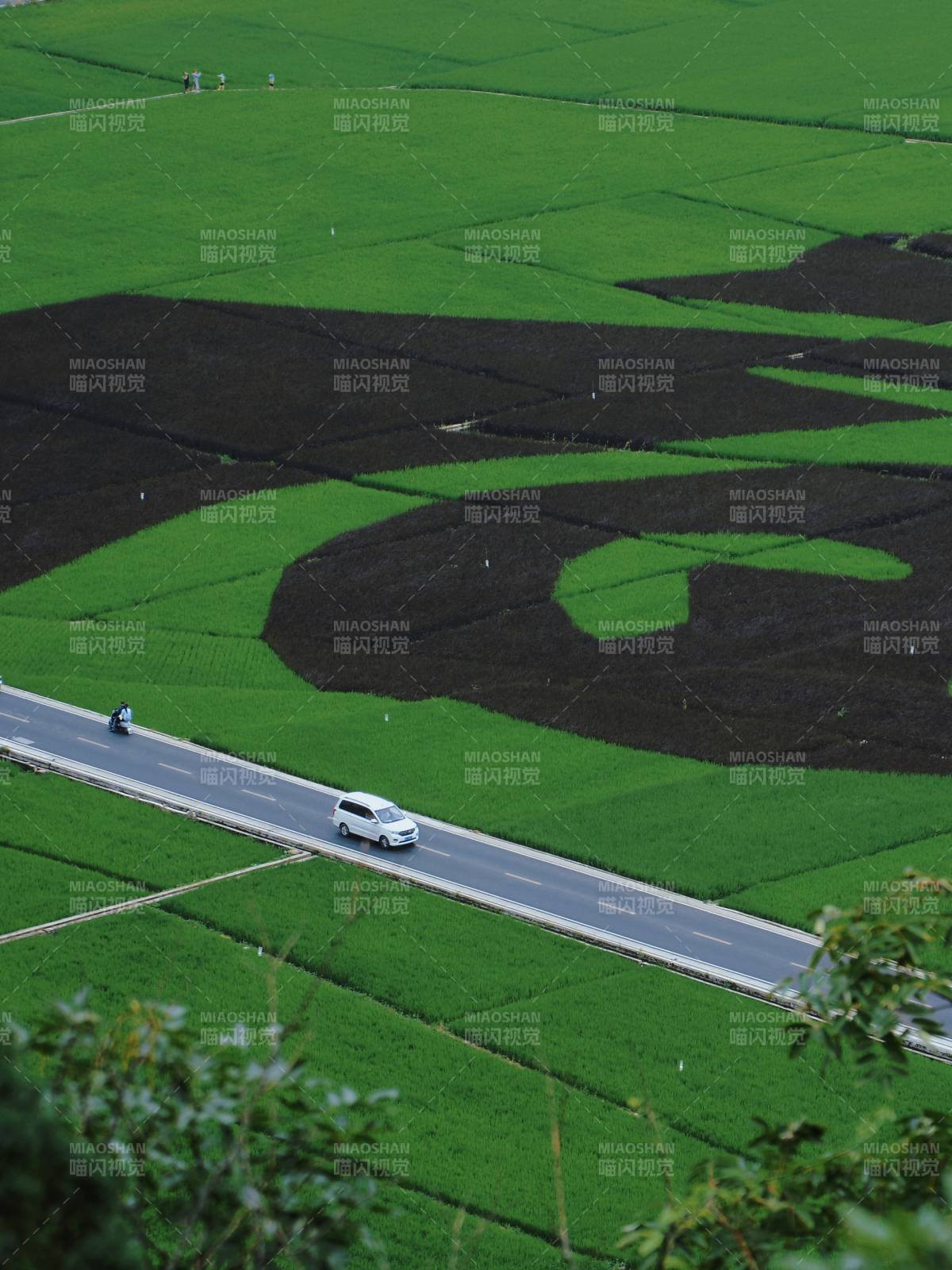 田園風光 車行其間