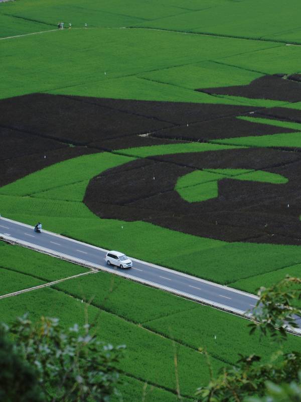 田園風光 車行其間