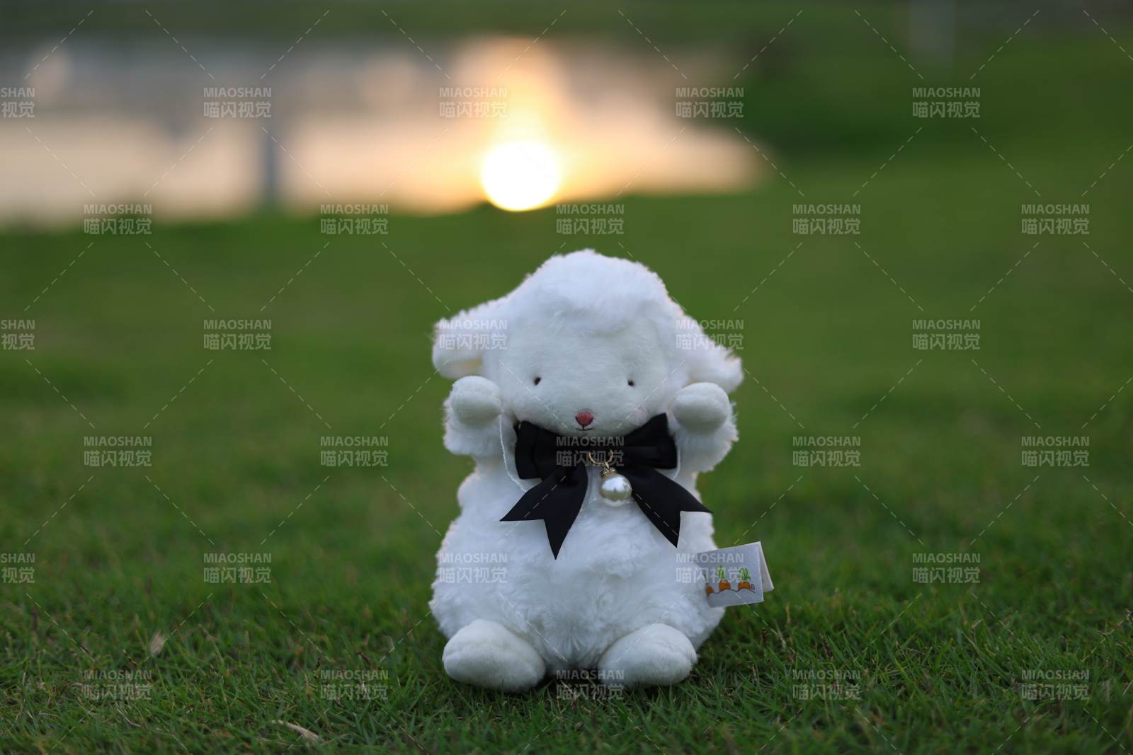 夕陽下的小羊玩偶