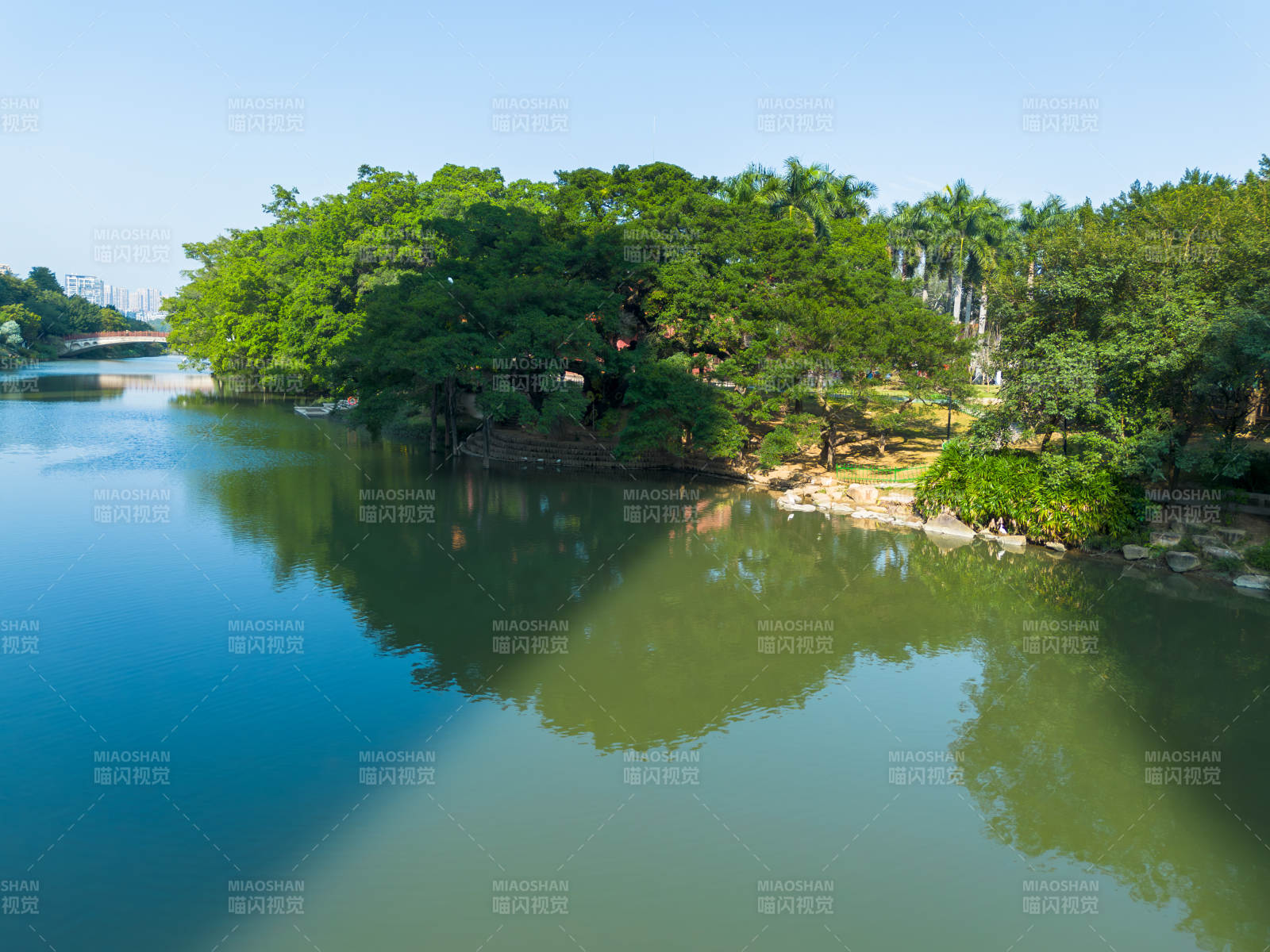 湖畔綠樹倒影如畫