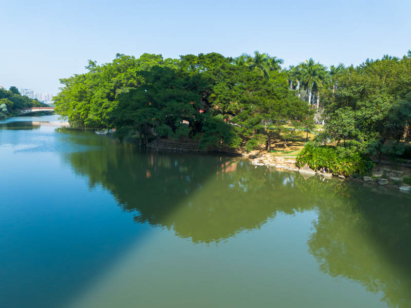 湖畔綠樹倒影如畫