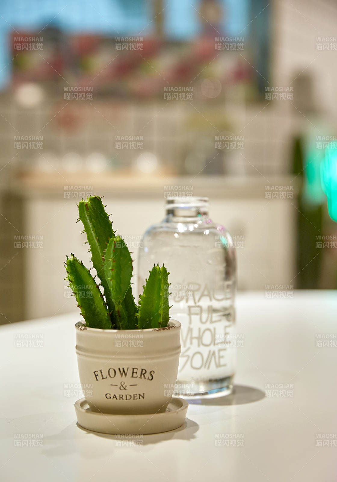 綠植與水瓶的靜謐時光