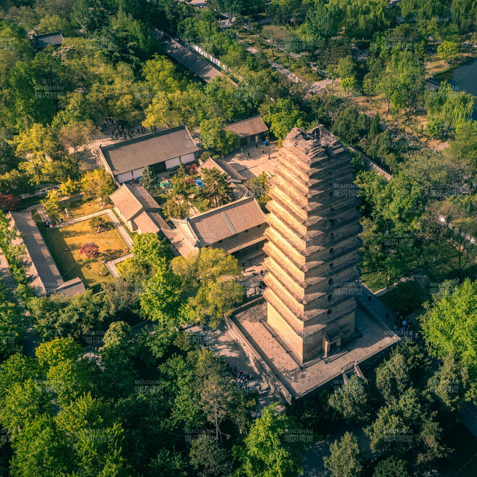 小雁塔綠蔭環(huán)繞景致美
