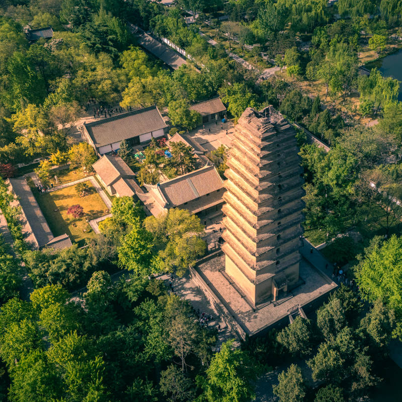 小雁塔綠蔭環(huán)繞景致美