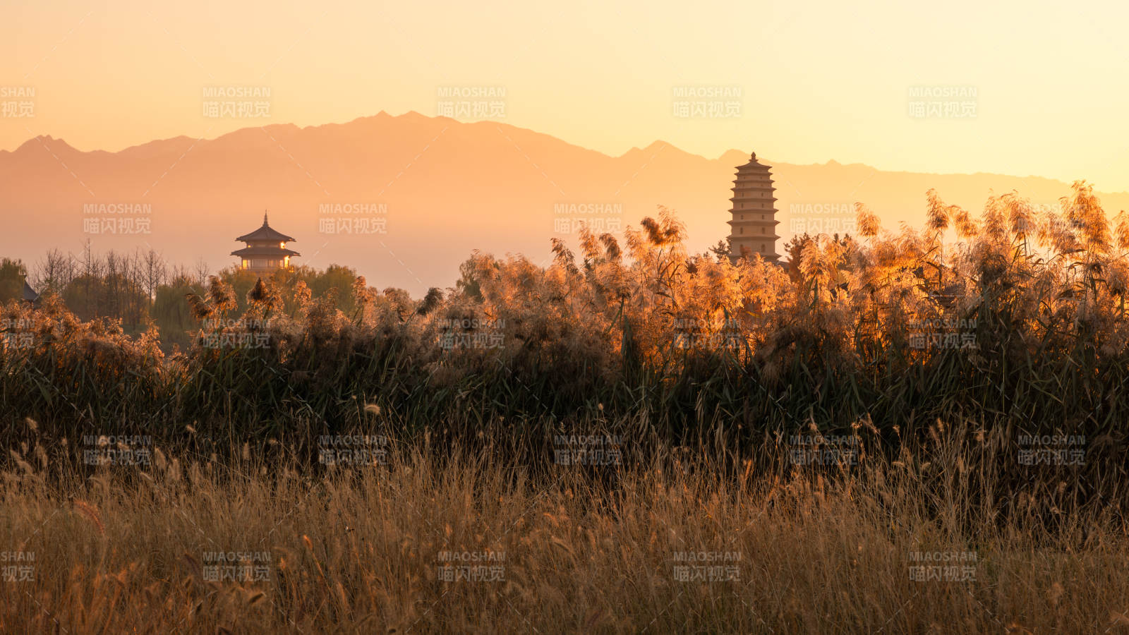 夕陽下的渼陂湖云溪塔與蘆葦