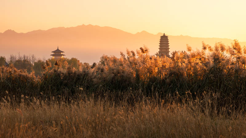 夕陽下的渼陂湖云溪塔與蘆葦