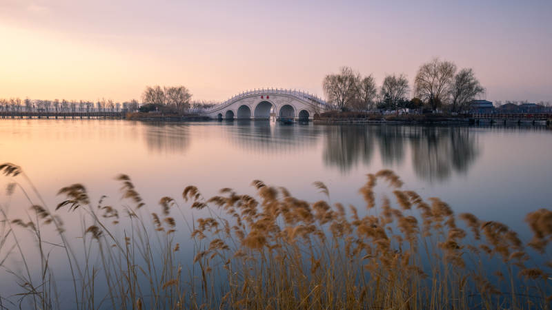 湖畔拱橋 蘆葦映霞