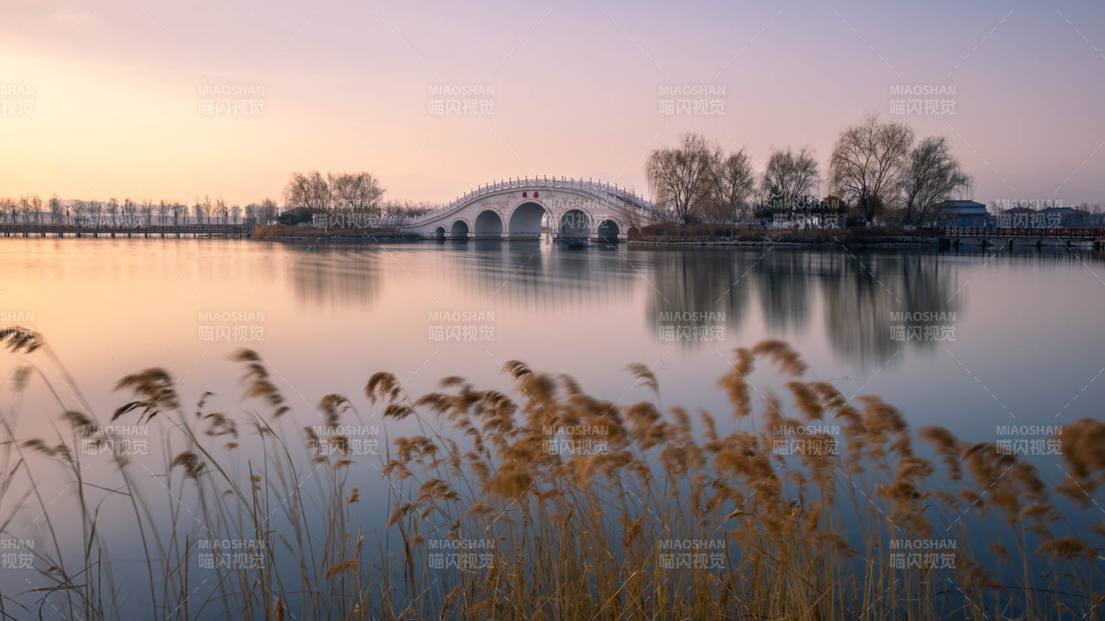 湖畔拱橋 蘆葦映霞