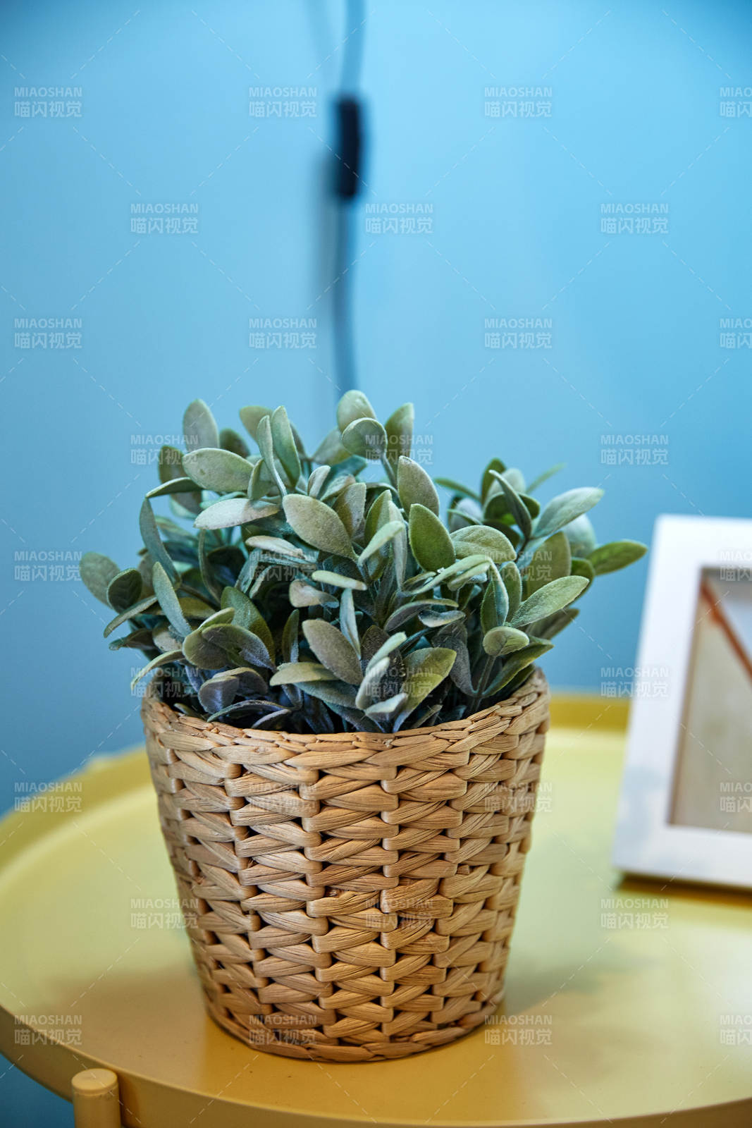 綠植點綴溫馨角落