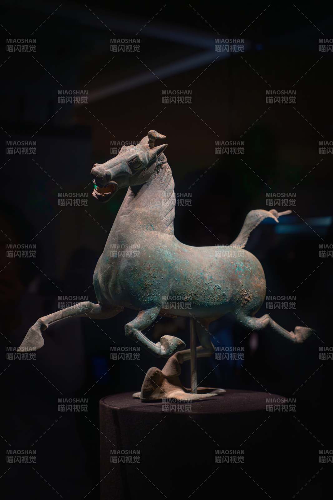 甘肅省博物館鎮館之寶——馬踏飛燕