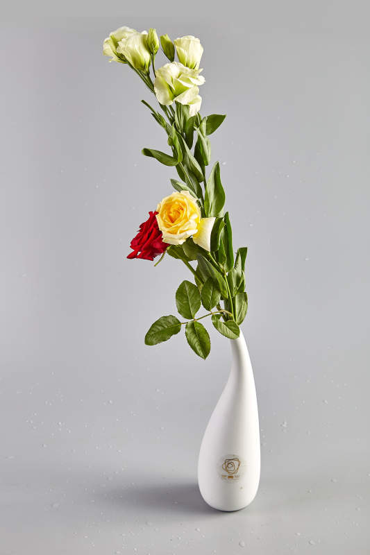 簡約花瓶插花藝術(shù)