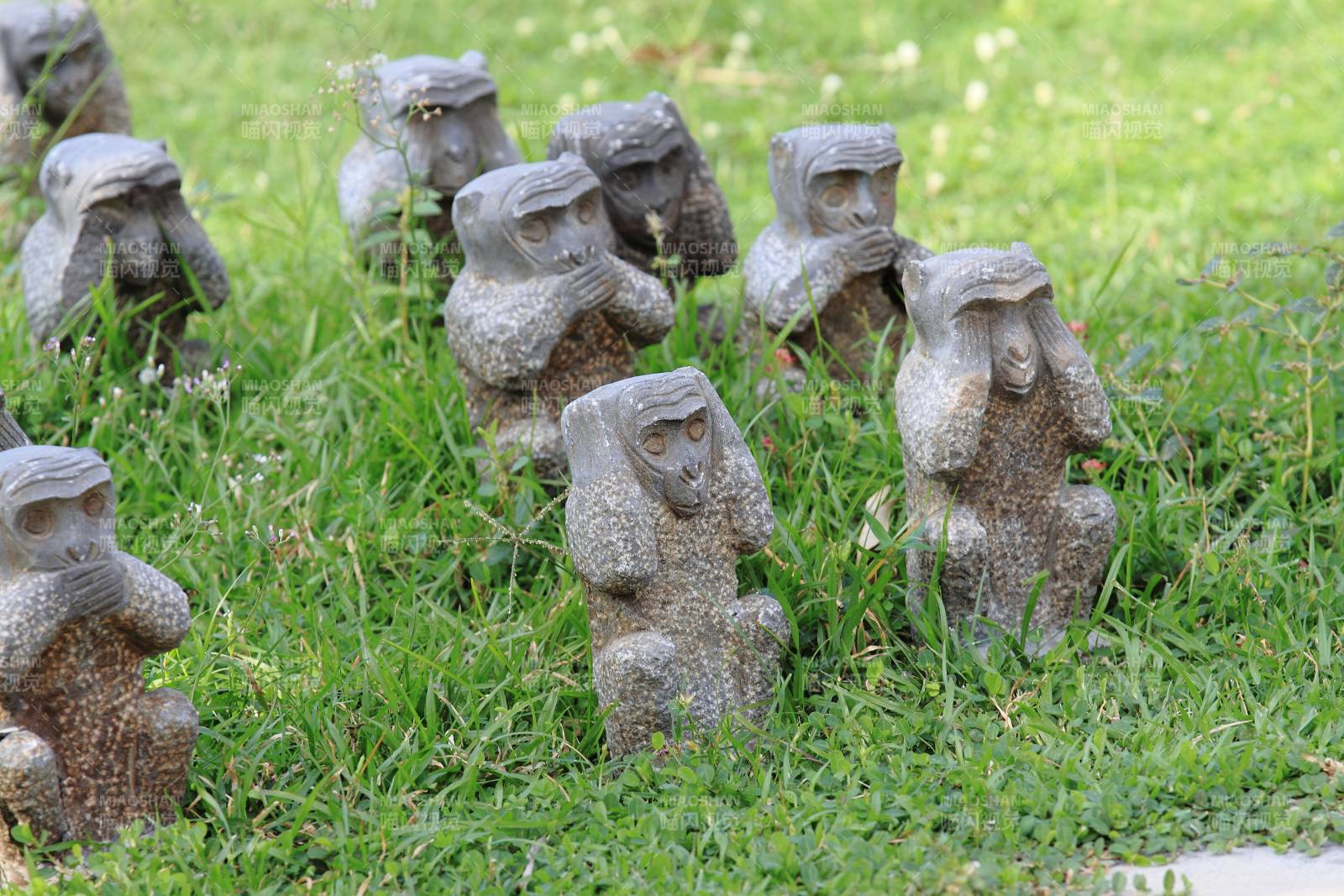 石雕猴子群 草地上靜立