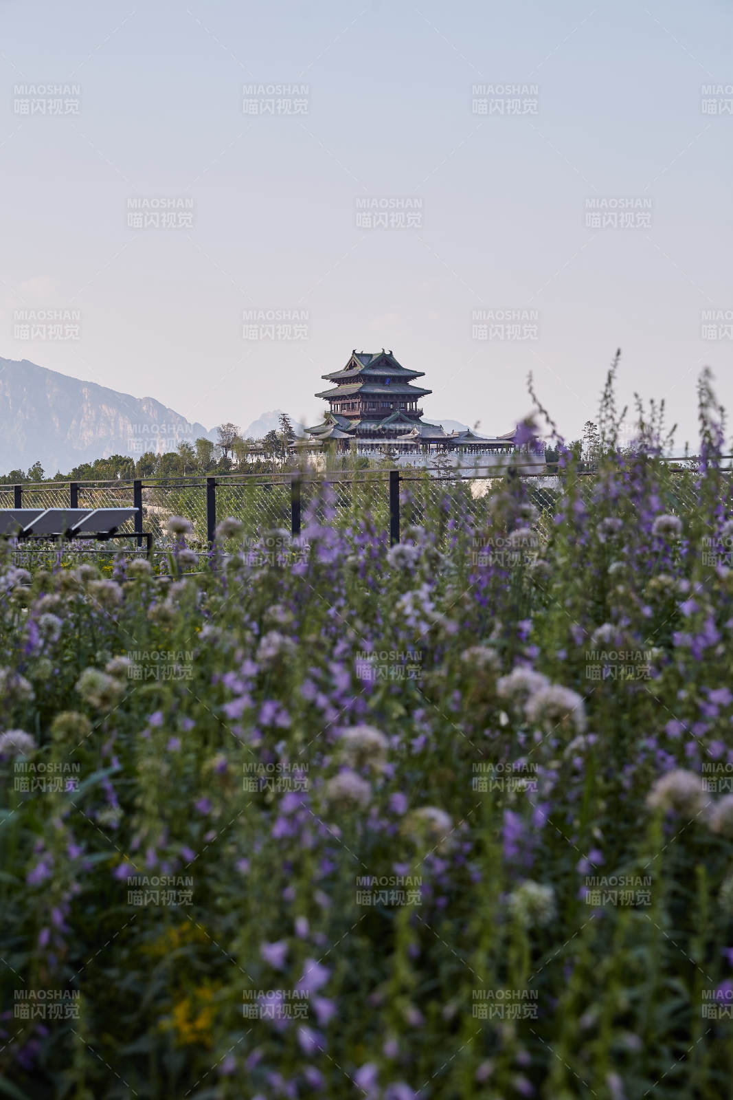 花海中的古塔風光