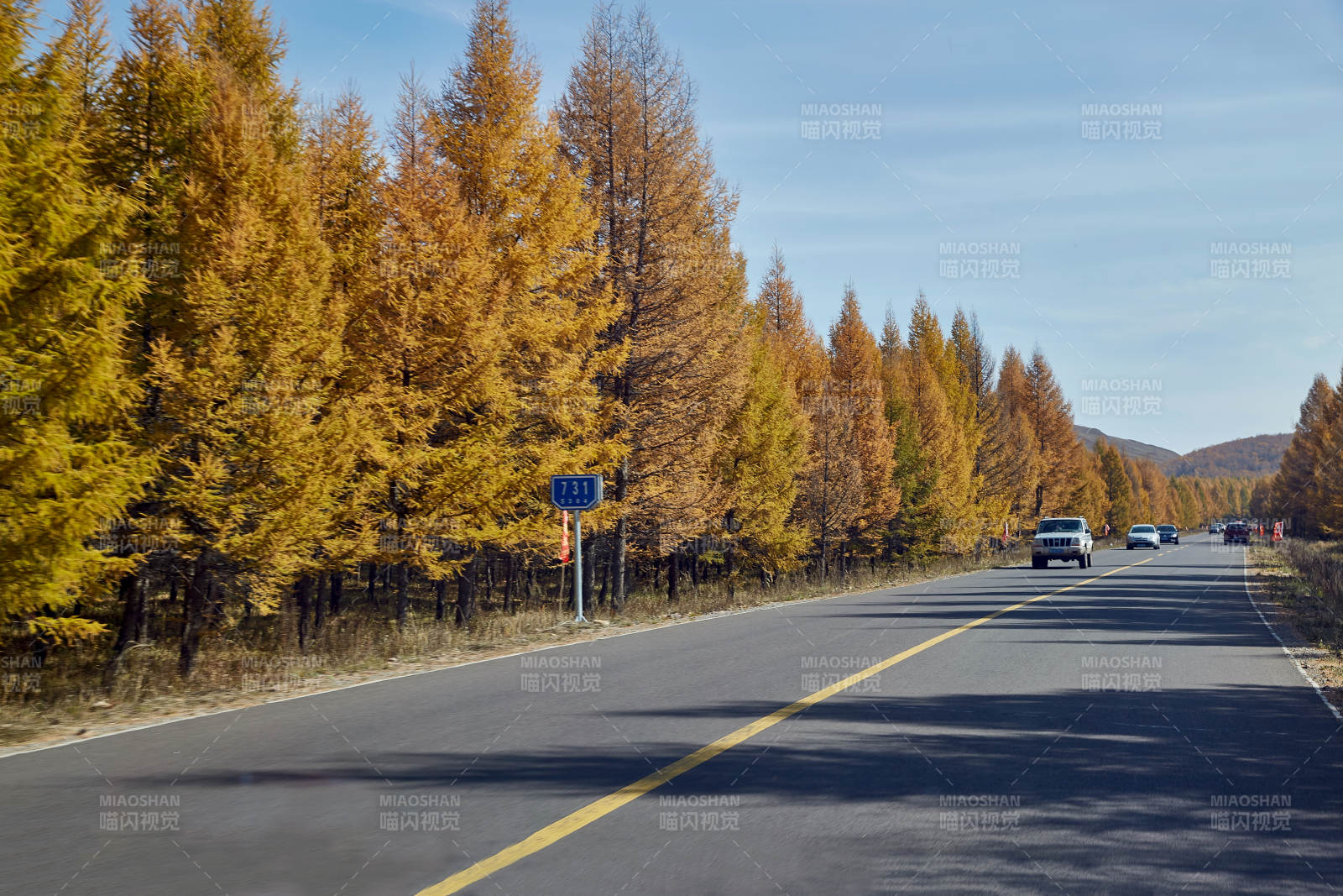 秋日林間公路風(fēng)景如畫