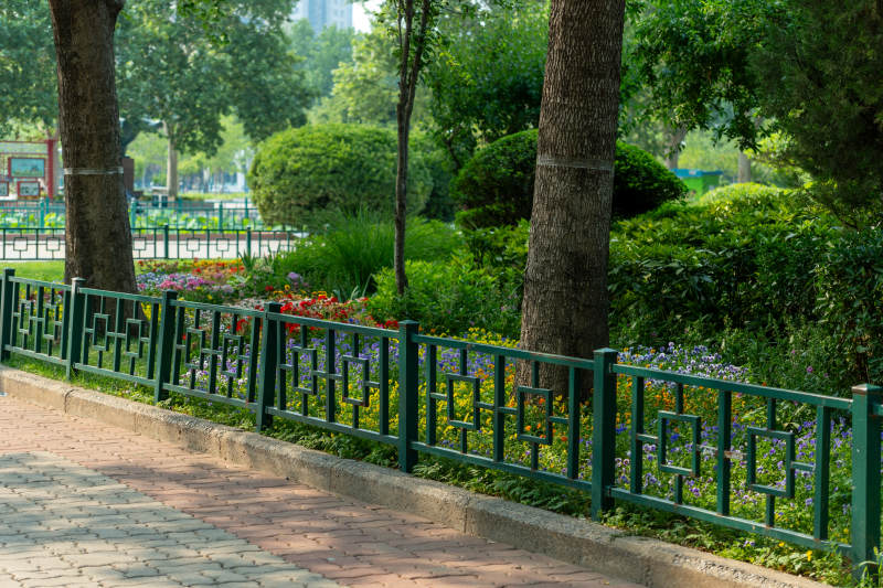公園綠籬小徑風景圖