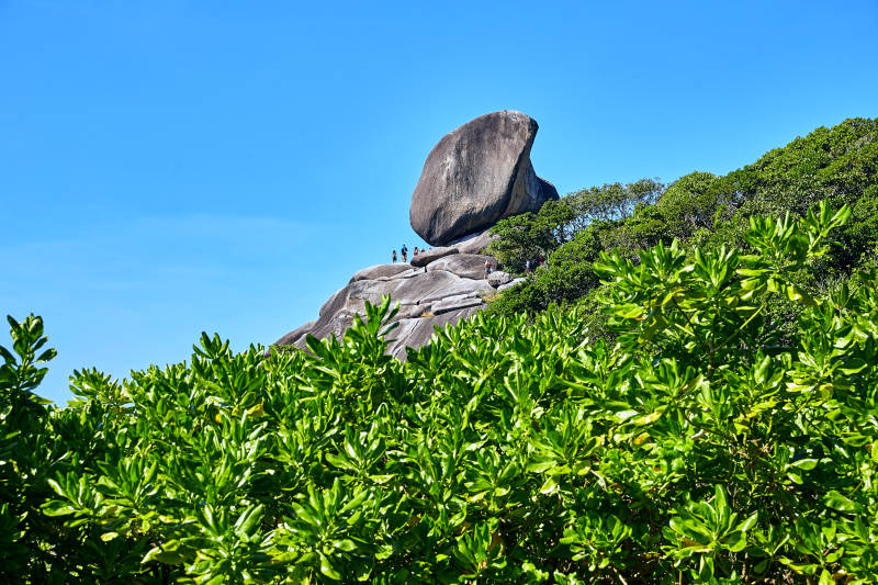 山頂巨石與綠植相映成趣