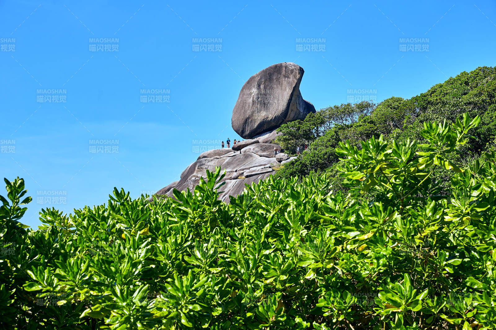 山頂巨石與綠植相映成趣