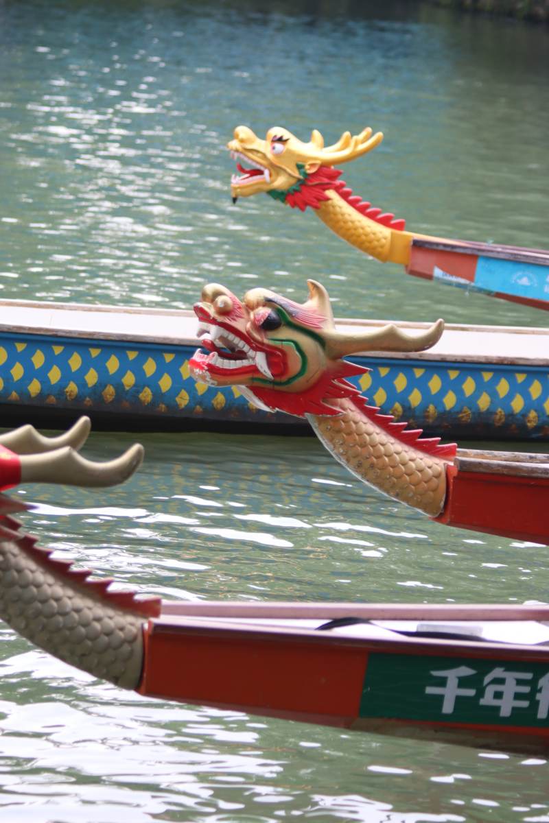 龍舟競渡 水波蕩漾