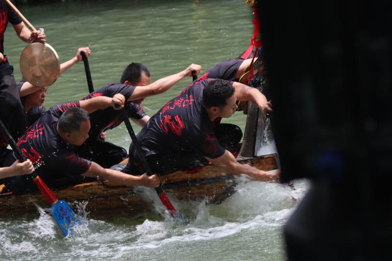 龍舟競渡 奮力劃槳