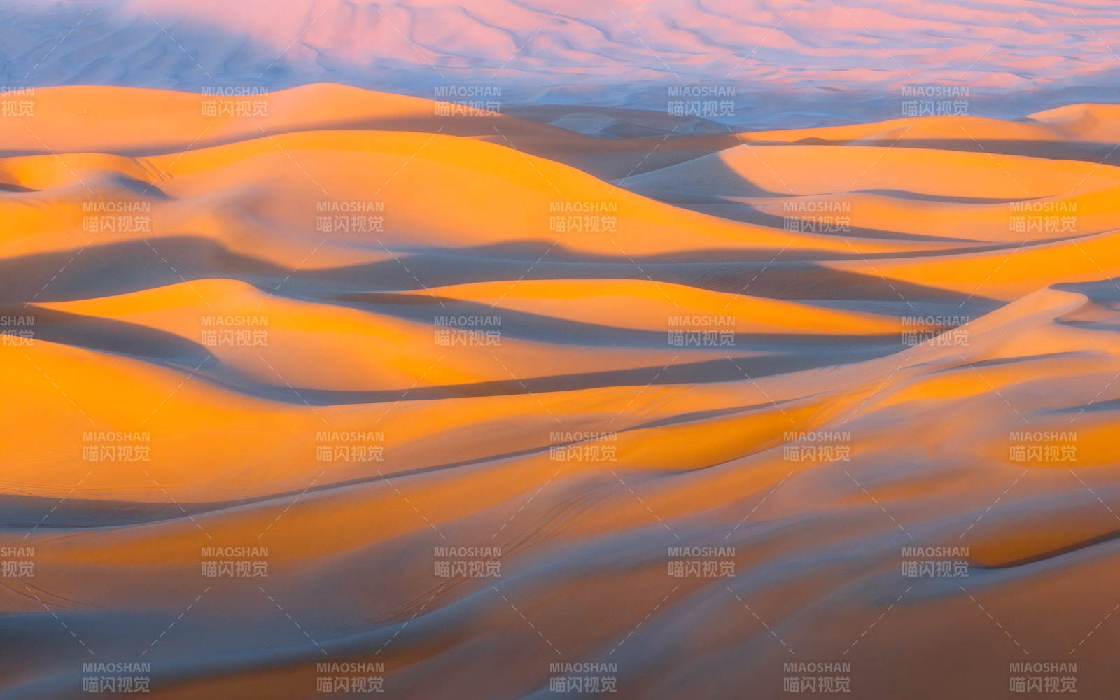 金色沙漠的晨曦美景