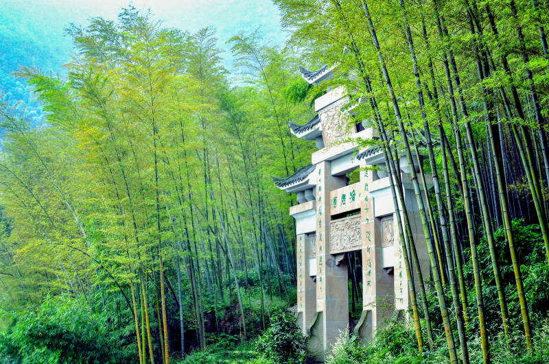 竹林深處古塔影