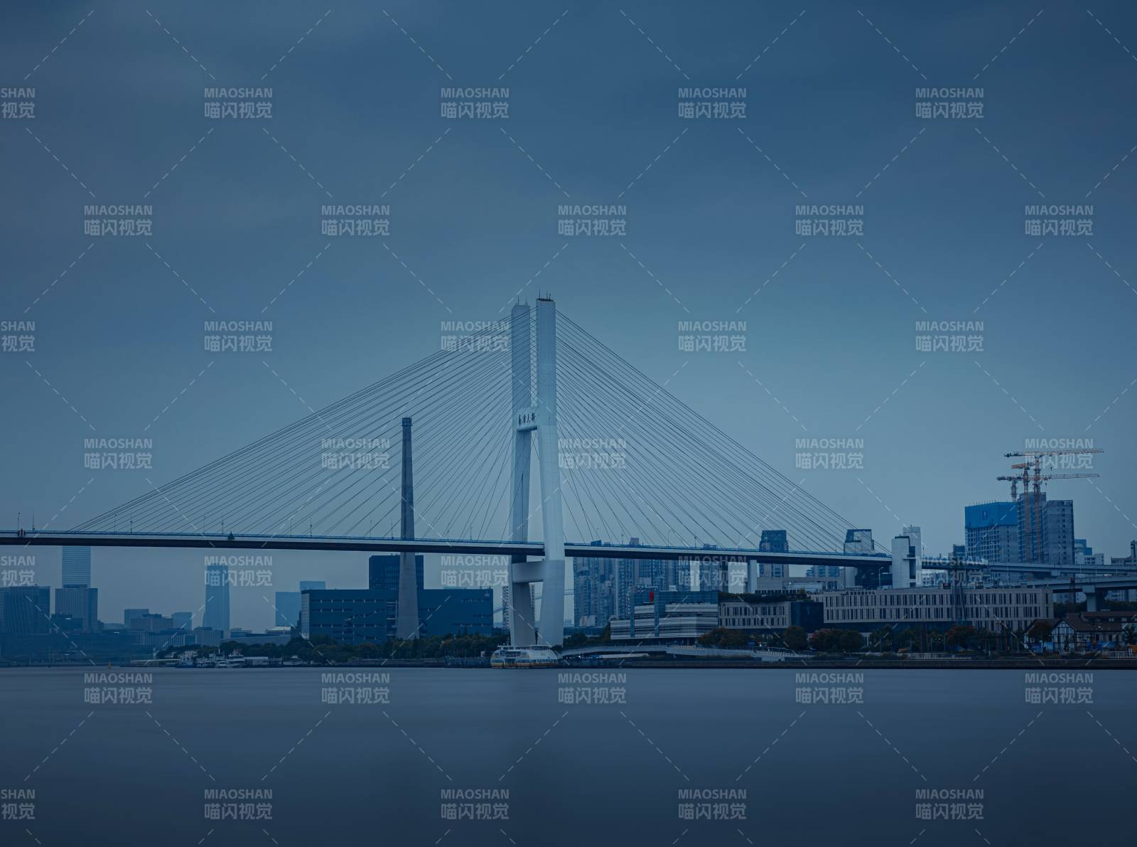 城市夜景中的斜拉橋