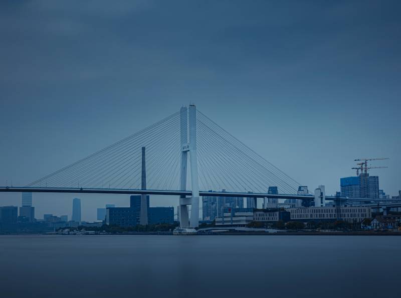 城市夜景中的斜拉橋